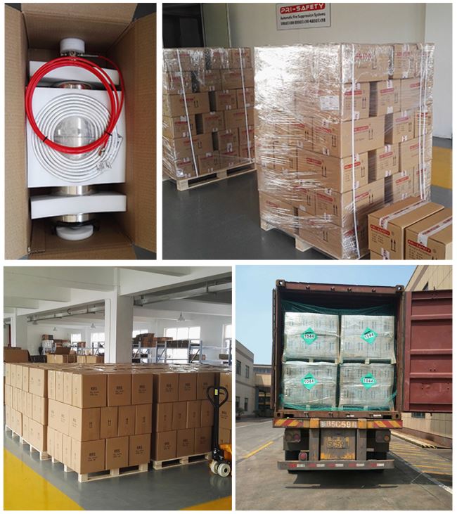 Wet Chemical automatic fire suppression system 1