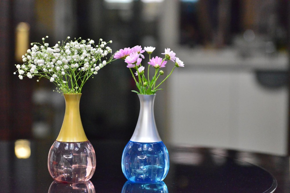 Hauptdekoration Feuer Blumenvase